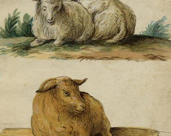Resting Sheep Studies Gouache Painting c.1820 Leopold Billek Original