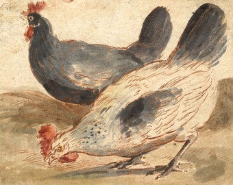 Attrib. Marmaduke Cradock Engraving Print 17th-century Chickens Original