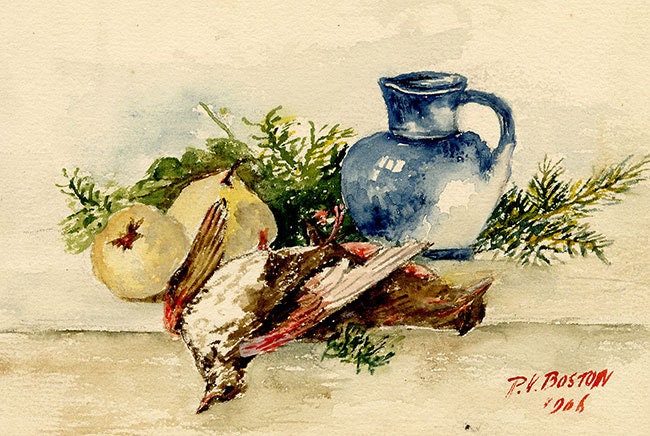 死んだ鳥の静物画 水彩画 1906年 P.V. ボストン オリジナル - Etsy 日本