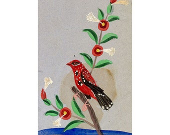 Company School 19th-century Indian Gouache Mica Painting – Red Avadavat Bird