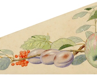 William Neave Parker Gouache Painting c.1950 Fallen Fruits Original