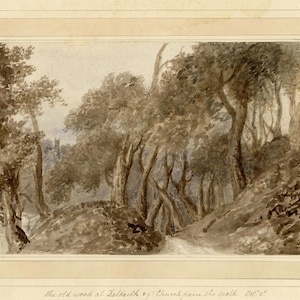 May include: A sepia-toned watercolor landscape painting depicting a dense forest with tall, slender trees and a path winding through the woods. In the distance, a church tower is visible. The text at the bottom reads: The old wood at Dalkeith by Church from the walk Oct 2nd.