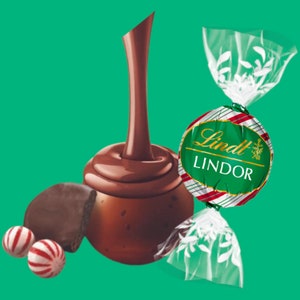 Lindt Lindor Peppermint Cookie Milk Chocolate Truffles, Prezenty czekoladowe Lindt, Torby na słodkości ślubne, Boże Narodzenie, Baby Shower, Upominki na wieczór panieński