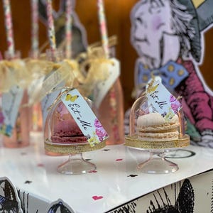 6 mini cúpulas para cupcakes, suministros para fiestas de Alicia en el País de las Maravillas, cúpulas para cupcakes de cumpleaños, soportes para cupcakes de baby shower de Alicia, fiesta del té del Sombrerero Loco