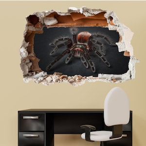 Könnte beinhalten: Eine große, haarige, braune und schwarze Vogelspinne krabbelt aus einem Loch in einer Wand. Die Spinne ist scharf, die Wand unscharf.