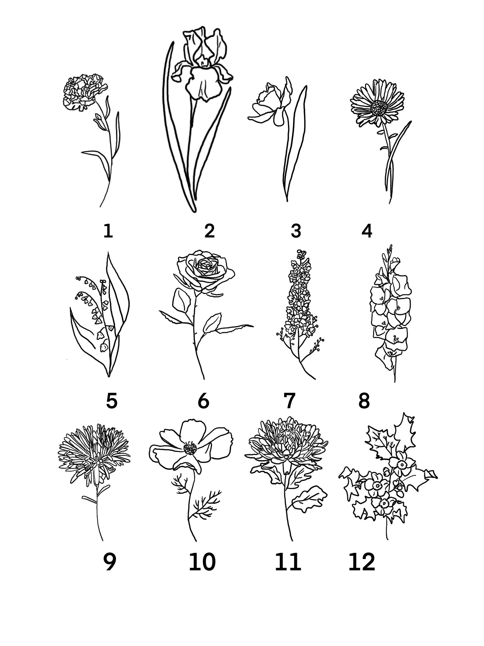 Birth Flower Outline Etsy
