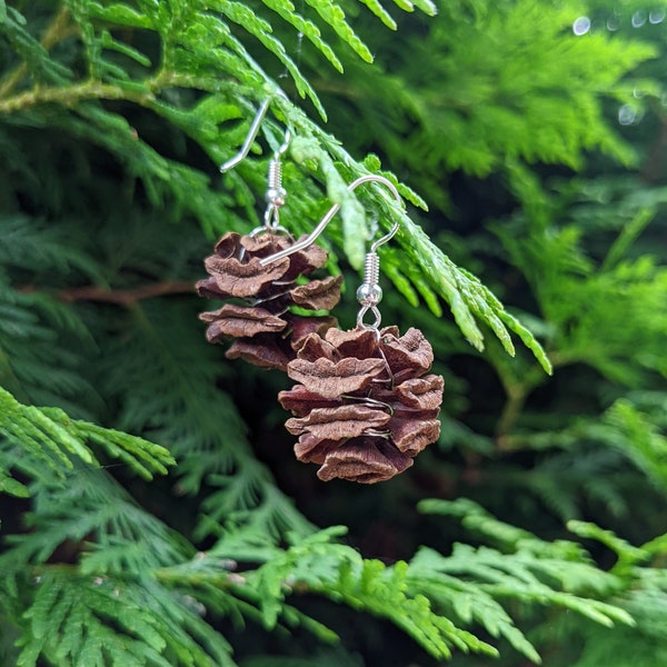 Dawn redwood cone earrings