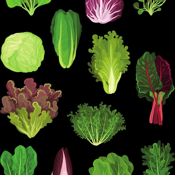 Clear Matte Greens Vegetable Sticker Sheet| Veggie Stickers Sheet, Plants Stickers, Grocery Lists, To-Do Lists