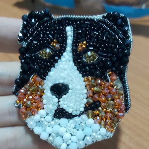 Australian Shepherd Broche of Houder