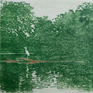 May include: A square print featuring a white egret standing on a brown log floating in dark green water. The background consists of dense, textured green foliage and trees, rendered in a monochromatic green ink style with visible cross-hatching.