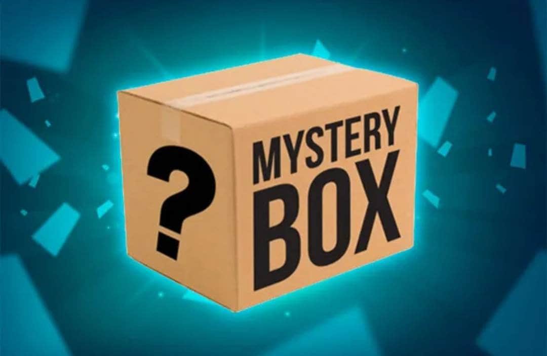 Quicklotz's  Mystery Box Unboxing & Review (2023)