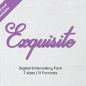 Exquisite Script Embroidery Font Alphabet Cursive; 7 sizes, instant download BX Font | PES + 9 other formats
