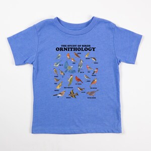 May include: A light blue t-shirt featuring a graphic of various birds and the text "THE STUDY OF BIRDS ORNITHOLOGY".