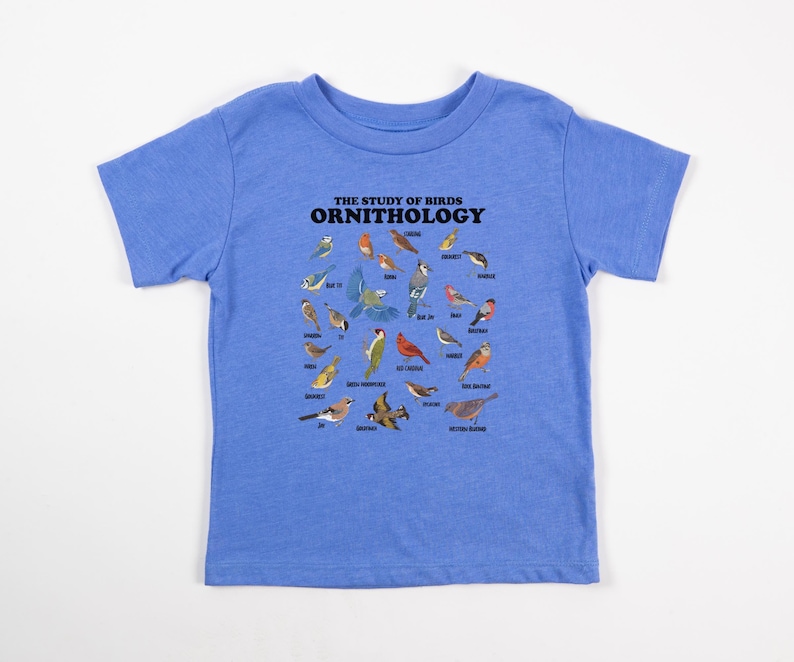 May include: A light blue t-shirt featuring a graphic of various birds and the text "THE STUDY OF BIRDS ORNITHOLOGY".