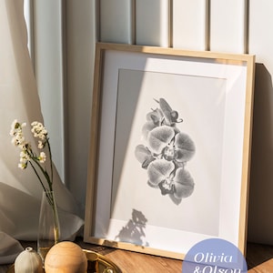 Orchid digital sketch print | digital prints | black and white poster | floral illustration | wall art | printable art