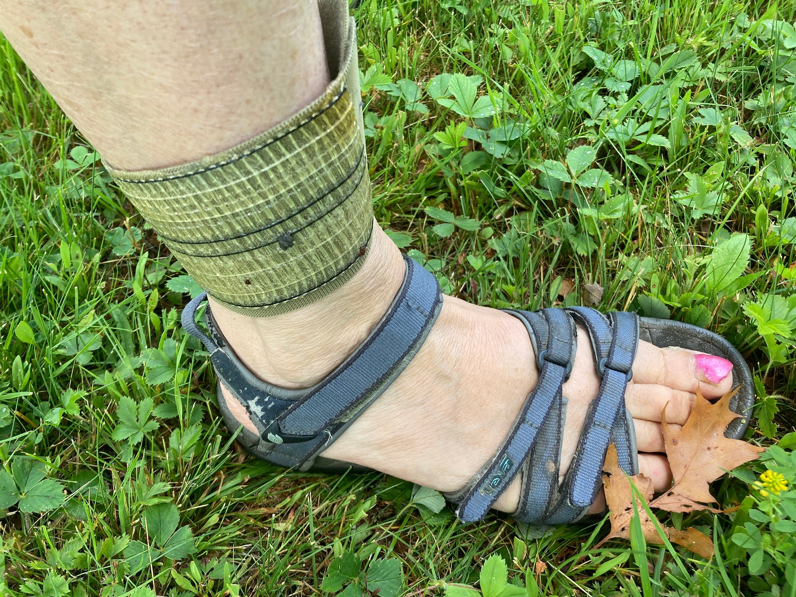 Wearable Tick Trap Tick Grabber Tick Sticks Etsy UK