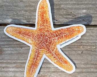 Yellow Starfish Sticker, Waterproof Clear Vinyl Decal