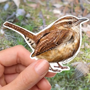 May include: A sticker of a small brown bird with a white belly and a striped tail. The bird is held in a hand against a background of green moss and fallen leaves. The bird sticker is a detailed illustration.