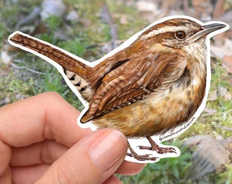 Carolina Wren Vinyl Sticker, Bird Watching Gift, Waterproof Decal