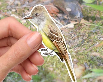 Great Crested Flycatcher Bird Vinyl Sticker, Bird Watching Gift, Bird Decal