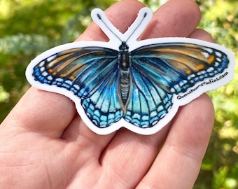 Pegatina de vinilo de mariposa púrpura con manchas rojas, arte, diseño, lepidopterista, entomología, ilustración biológica, Limenitis arthemis