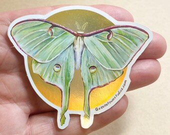 Luna Moth Sticker, Metallic Gold Moon, Insect Decal
