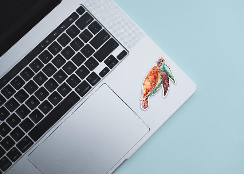 May include: A colorful sea turtle sticker on a silver laptop. The turtle is painted in shades of orange, green, and blue.