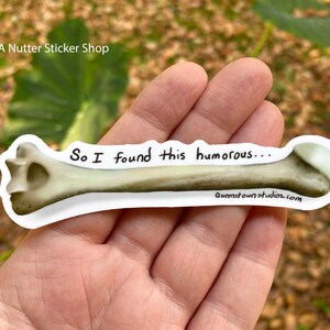 May include: A white sticker with a drawing of a bone and the text "So I found this humorous..." and the website "queenstownstudios.com".