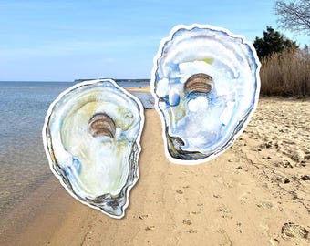 Oyster Shell Vinyl Sticker Set, Watercolor Art Decals