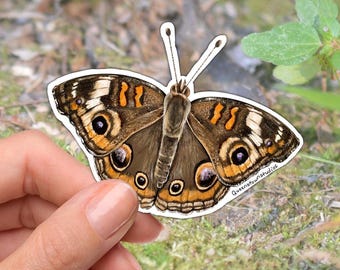 Buckeye Butterfly Sticker, Waterproof Vinyl Decal