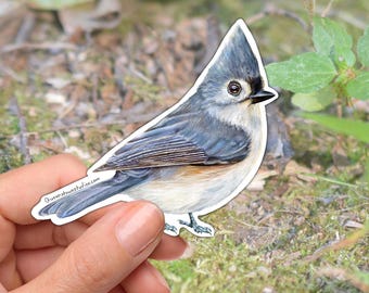 Pegatina de pájaro carbonero crestado, calcomanía de vinilo, regalo para observadores de aves