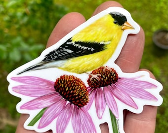 Pegatina de vinilo de jilguero americano, regalo de observación de aves, margaritas de coneflower púrpura, calcomanía resistente al agua duradera