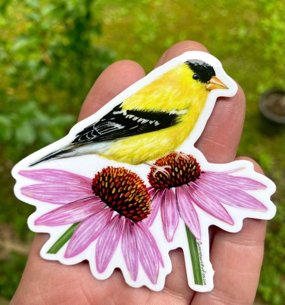 American goldfinch vinyl sticker, bird watching gift, purple coneflower daisies, durable waterproof decal