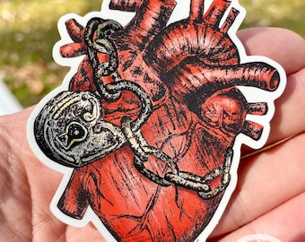 Anatomical Heart Vinyl Sticker, Metal Lock & Chain, Hand-Drawn Art