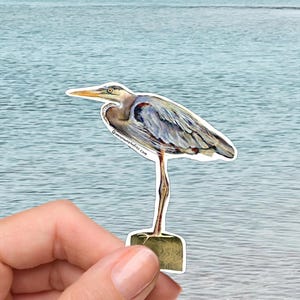 May include: A sticker featuring a detailed illustration of a Great Blue Heron. The bird is depicted in shades of gray, blue, and brown, with a long beak and legs. The sticker is held against a backdrop of water.