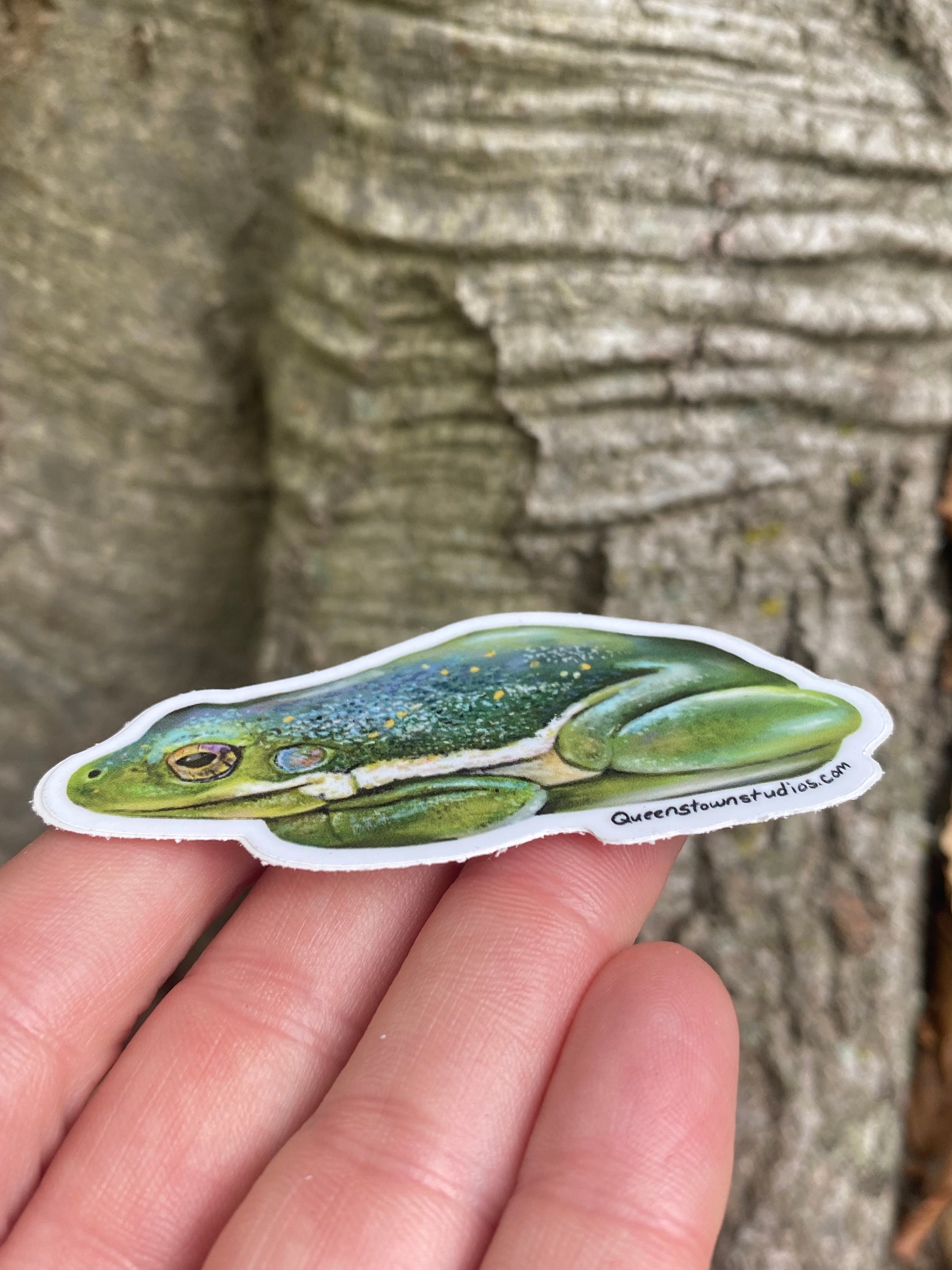 Green Tree Frog Vinyl Sticker, Hand-painted Decal - Etsy