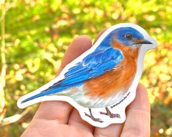 Eastern Bluebird songbird vinyl sticker, bird watching gift, durable waterproof decal