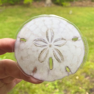Pegatina de dólar de arena, pegatina de vinilo impermeable, pegatina transparente, calcomanía para computadora portátil, pegatina para vaso
