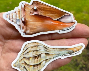 Juego de pegatinas de caracola, caracola relámpago, decoración de playa