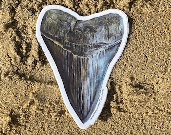 Megalodon Shark Tooth Sticker, Fossil Decal