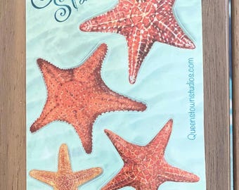 Hoja de pegatinas de estrellas de mar, pegatinas de vinilo impermeables, calcomanías de playa costera, regalo para amantes del océano, pegatinas para portátiles y botellas de agua.