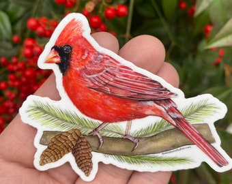 Red cardinal bird vinyl sticker, bird watching gift, birding gifts, cardinal symbolism, gifts to remember loved ones, spiritual signs