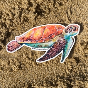 May include: A colorful sticker of a sea turtle swimming on a sandy beach. The turtle has a green, blue, and orange shell with brown markings. The sticker has the text "queenstownstudios.com" on the bottom.
