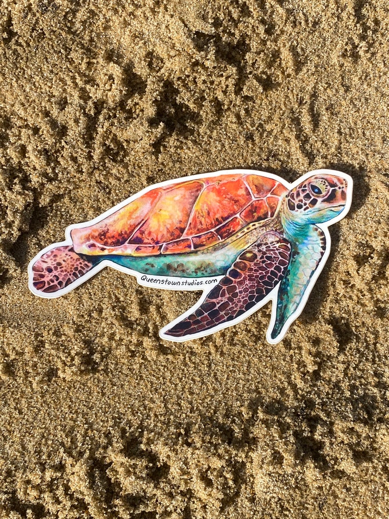May include: A colorful sticker of a sea turtle swimming on a sandy beach. The turtle has a green, blue, and orange shell with brown markings. The sticker has the text "queenstownstudios.com" on the bottom.