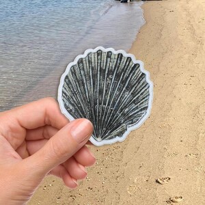May include: A close-up of a black and white seashell sticker. The sticker is held in a hand against a sandy beach background.