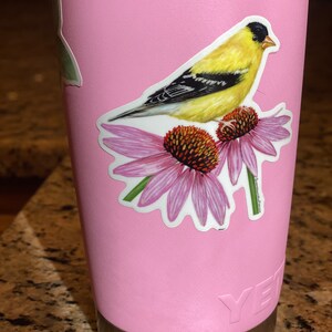 Puede incluir: Un vaso Yeti rosa con una pegatina de un p&aacute;jaro amarillo posado en una flor morada.