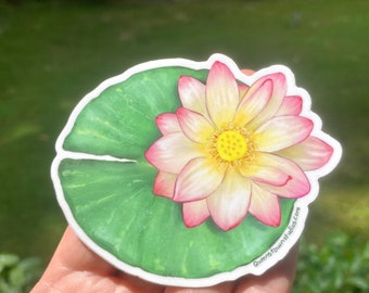 Water Lily Vinyl Sticker, Hand-Painted Floral Illustration
