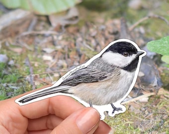 Pegatina de vinilo de carbonero: pegatina de pájaro resistente al agua para botellas de agua, portátiles y amantes de la naturaleza.