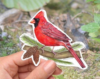 May include: A sticker featuring a vibrant red cardinal perched on a branch with pine needles and two pine cones. The bird has a black mask and beak. The sticker is held by a hand against a blurred natural background.