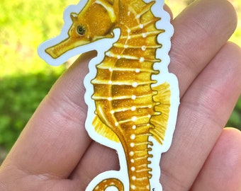 Sea Horse Vinyl Sticker, Yellow Sealife Decal